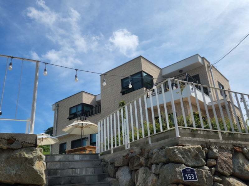 사진 2