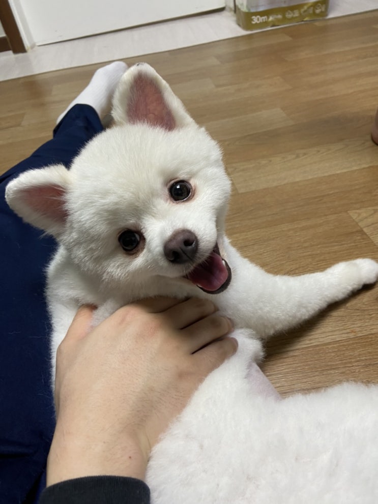  뿅