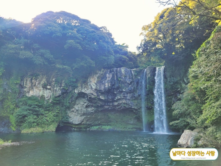  [제주도] 자연경관이 아름다운 천지연 폭포와 서귀포올레 매일시장