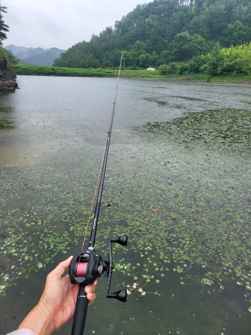 다이와 타튤라XT 로드 개봉이가 박두! : 네이버 블로그, image size:800x1067