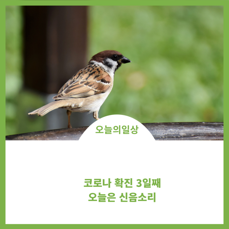  코로나확진  3일째 저절로 아픈소리가 난다