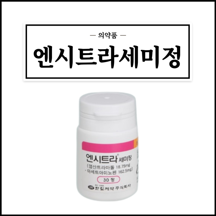  엔시트라세미정, 효능효과/복용법/부작용/주의사항 등 간단정리