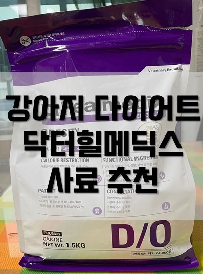  강아지 다이어트 사료 추천 특허받은 "닥터힐메딕스 오비서티"로 체중관리!