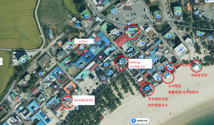  여름이 가기전에 태안 연포해수욕장 갯벌체험(조개잡기)과 맨발걷기,수퍼어씽(가족민박,소라횟집)