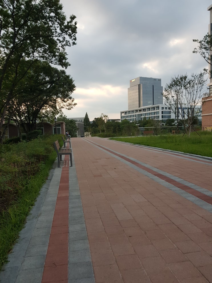  쓰고 싶은 것을 쓰자