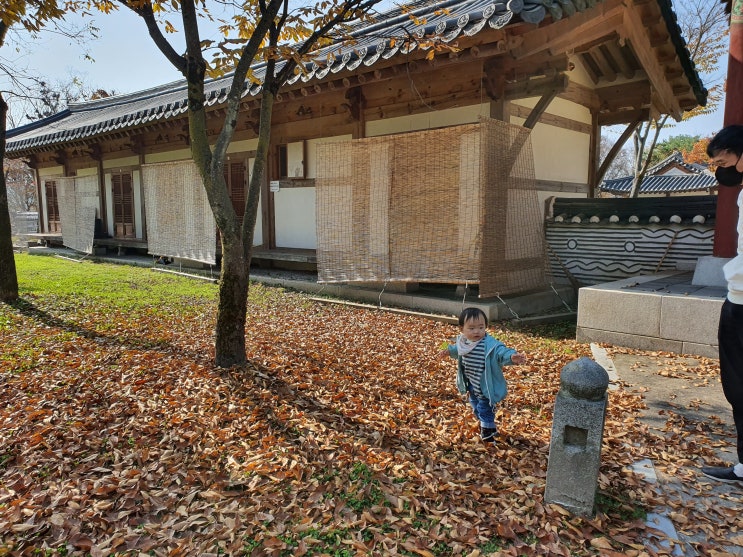 서울근교 가을 단풍 나들이 가볼만한 곳 - 여주 신륵사 서울근교 가을 단풍 나들이 가볼만한 곳 - 여주 신륵사