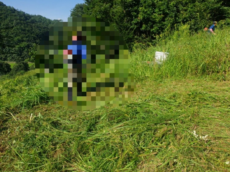  2022년 김천시 대덕면 가례리 310 대덕벌초 김천벌초 추석벌초 벌초대행 김천 고인돌장의사