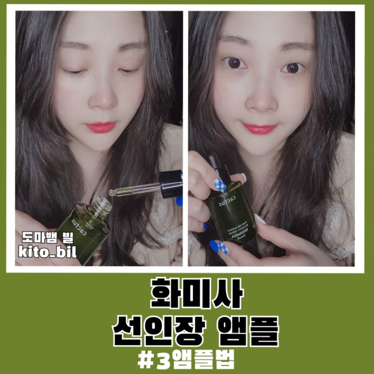  3앰플법 화미사 선인장 앰플로 알아봐요