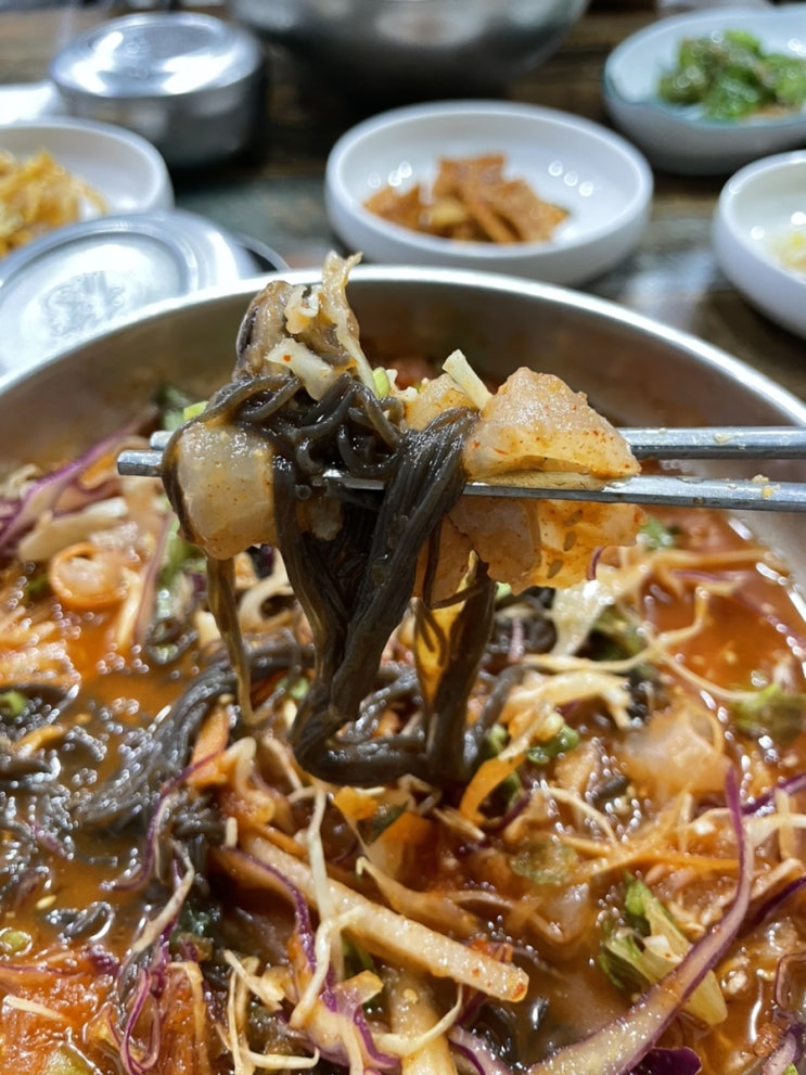  [진주 맛집] 냉면은 가라~ 시원한 진주 하대동 회송송 물회가 최고!