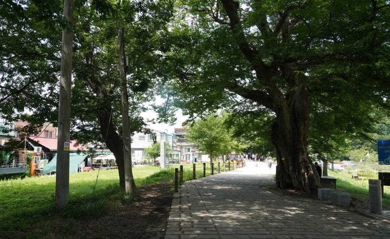 담양여행코스 담양국수거리 진우네집 등 : 네이버 블로그