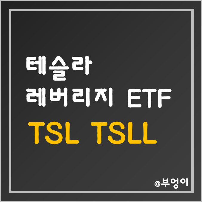 테슬라 레버리지 ETF - TSL, TSLL (feat. TSLA) 테슬라 레버리지 ETF - TSL, TSLL (feat. TSLA)