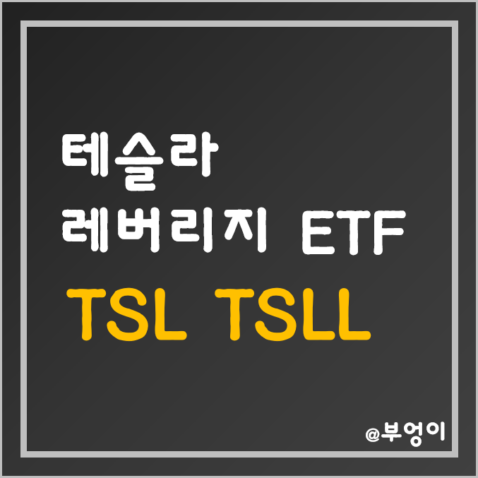 테슬라 레버리지 ETF - TSL, TSLL (feat. TSLA)