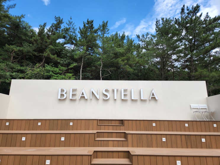  세종 빈스텔라 BEANSTELLA 세종시 베이커리카페