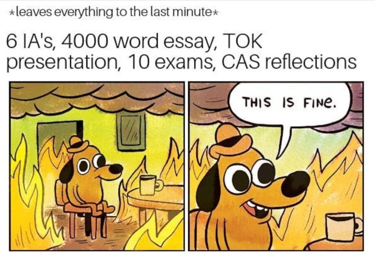 [IBDP] 과목 선택 (1) IB 과목 선택 전 꼭 고려해야 할 사항들
