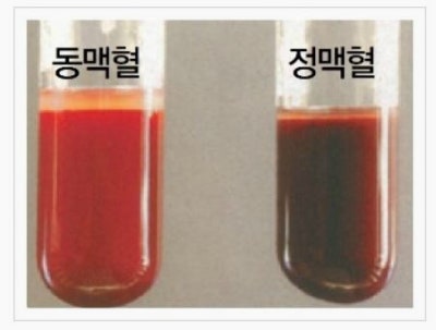 VBGA 검사의 임상적 의미 (Venous Blood Gas Analysis, ABGA와 VBGA) : 네이버 블로그