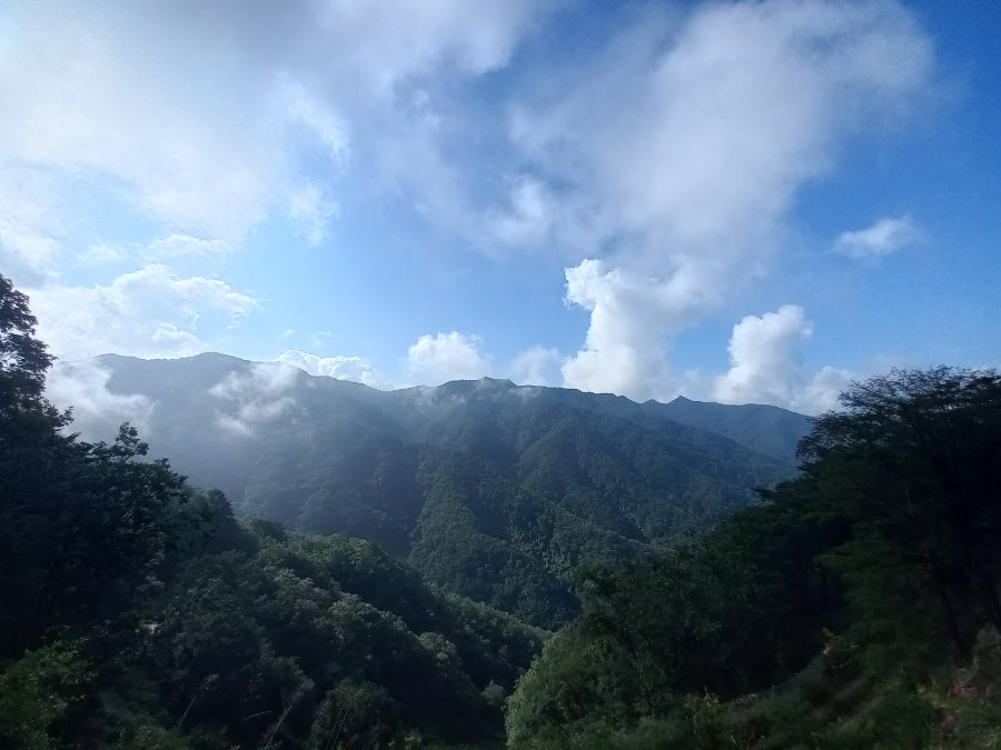 송지골 사진 1