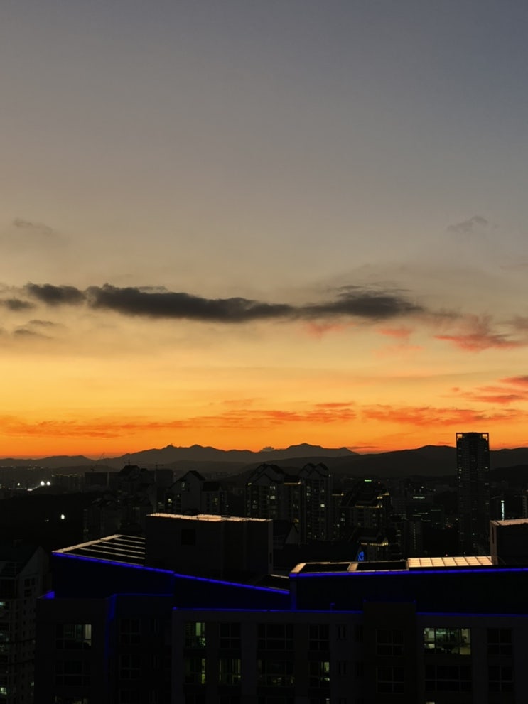  8월 셋째주 챌린지