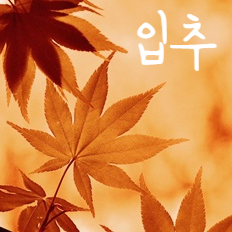  24절기 중 입추/가을의 시작일까요? 대서 입추 처서 추분