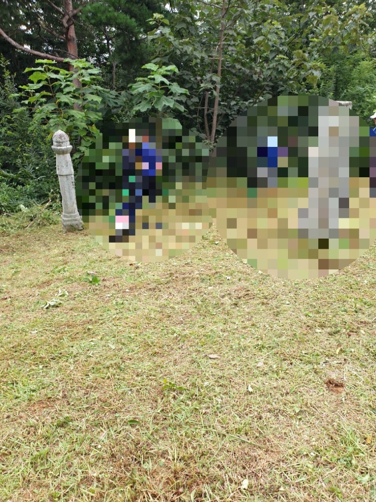  2022년 김천시 어모면 덕마리 산108 김천벌초 어모벌초 벌초대행 추석벌초 문중벌초 문중산 20기 문중묘 김천 고인돌장의사