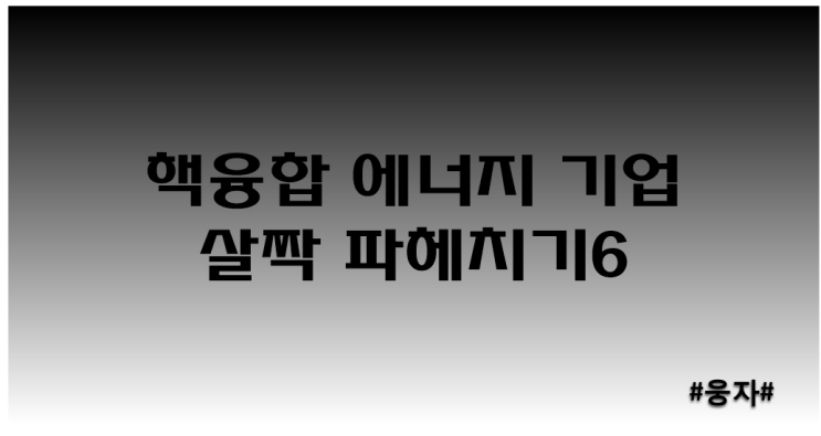  핵융합 에너지 기업 시리즈_모비스
