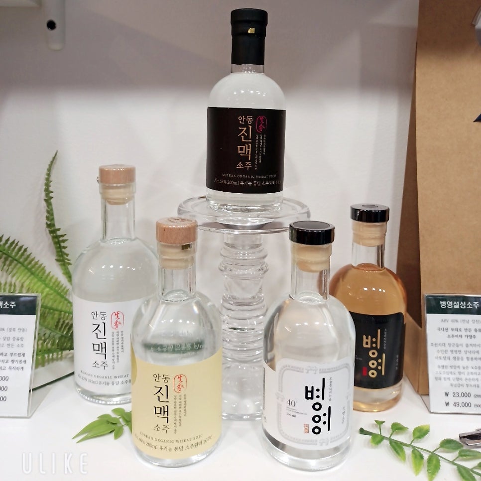 꽈알라 보틀숍 사진 4