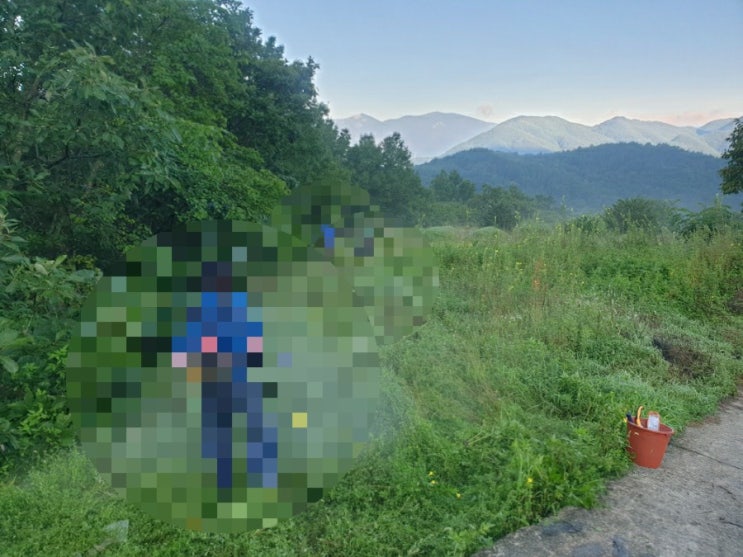  2022년 김천시 대덕면 추량리 벌초 김천벌초 대덕벌초 고인돌장묘개발 벌초대행 추석벌초