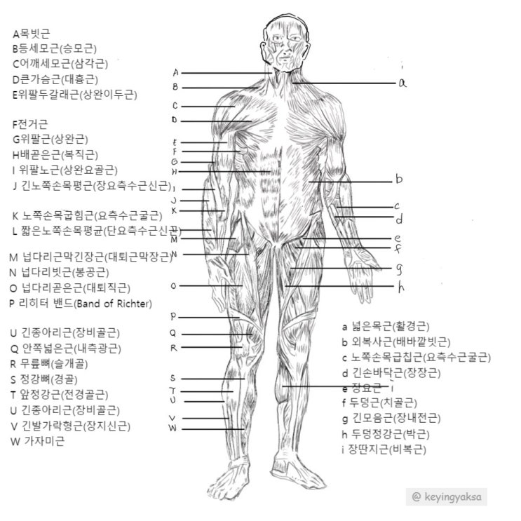  매일 아침은 또 하나의 새로운 시작(면역력을높이는방법)