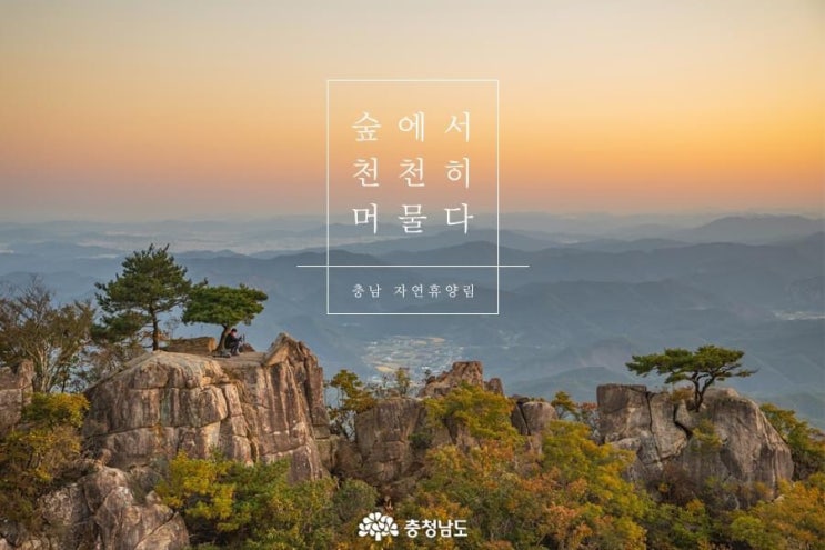 충남 가볼만한곳 숲에서 천천히 머물다 충남 자연휴양림 | 충남도청페이스북