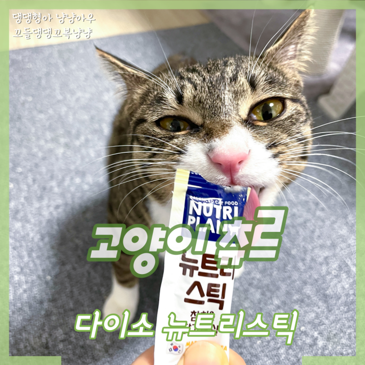  다이소 고양이 간식 뉴트리스틱 츄르