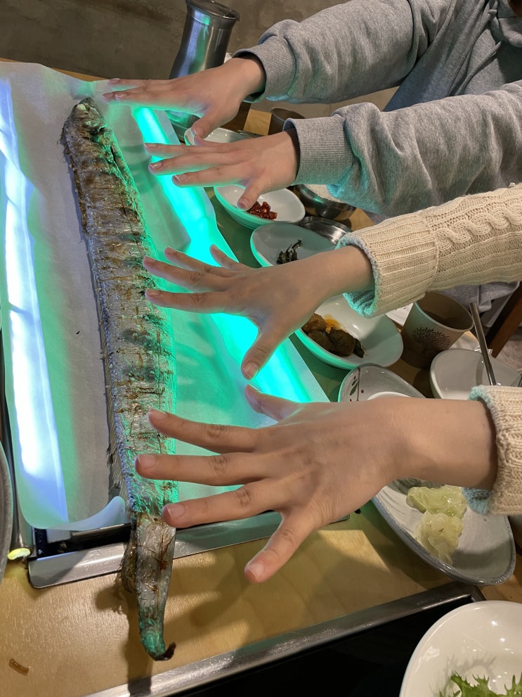  떠나요 제주도, 제주도 여행 속 찾은 현지 맛집 추천 리스트