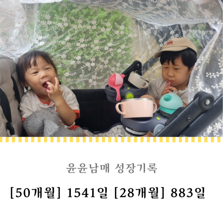  1541일 883일 : 엄마 난 까만경찰차가 좋아