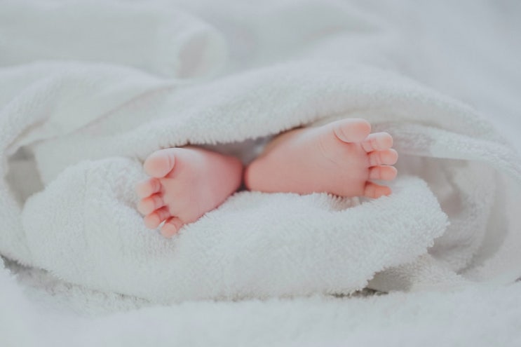정부지원 산후조리사 산모 신생아 건강관리사 도우미 가격 온라인 신청 방법 총정리 정부지원 산후조리사 산모 신생아 건강관리사 도우미 가격 온라인 신청 방법 총정리