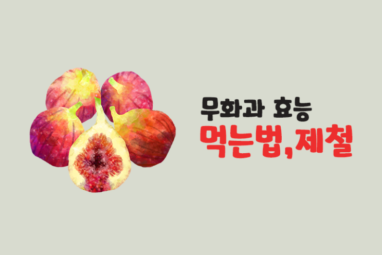  무화과 효능 먹는법 제철은?