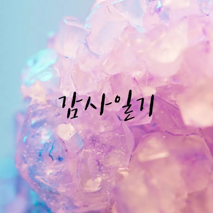  주말 감사일기