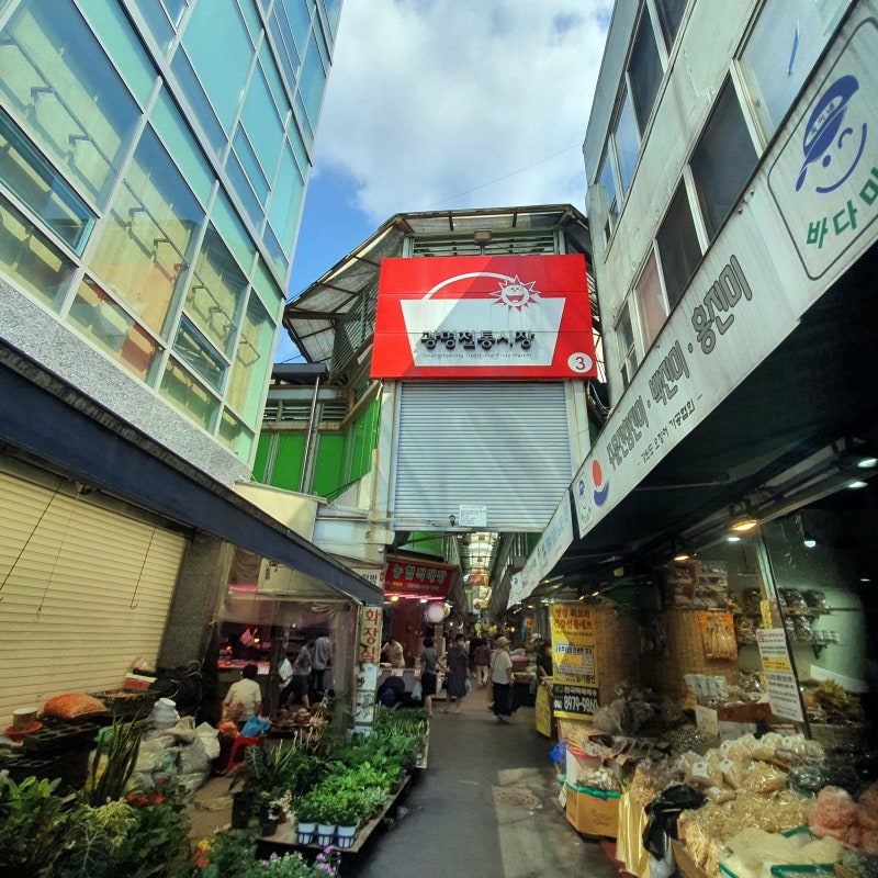 광명시장 먹거리 맛집 추천 (진도식당, 클로렐라버거)