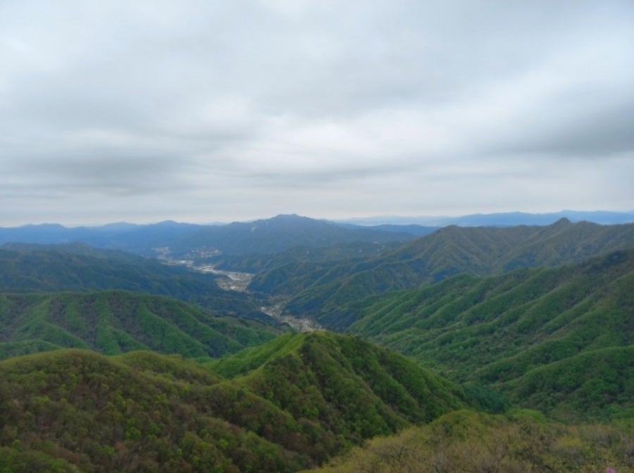 송지골 사진 2
