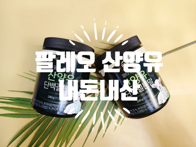  산양유 단백질 팔레오 멀티 단백질분말 내돈내산
