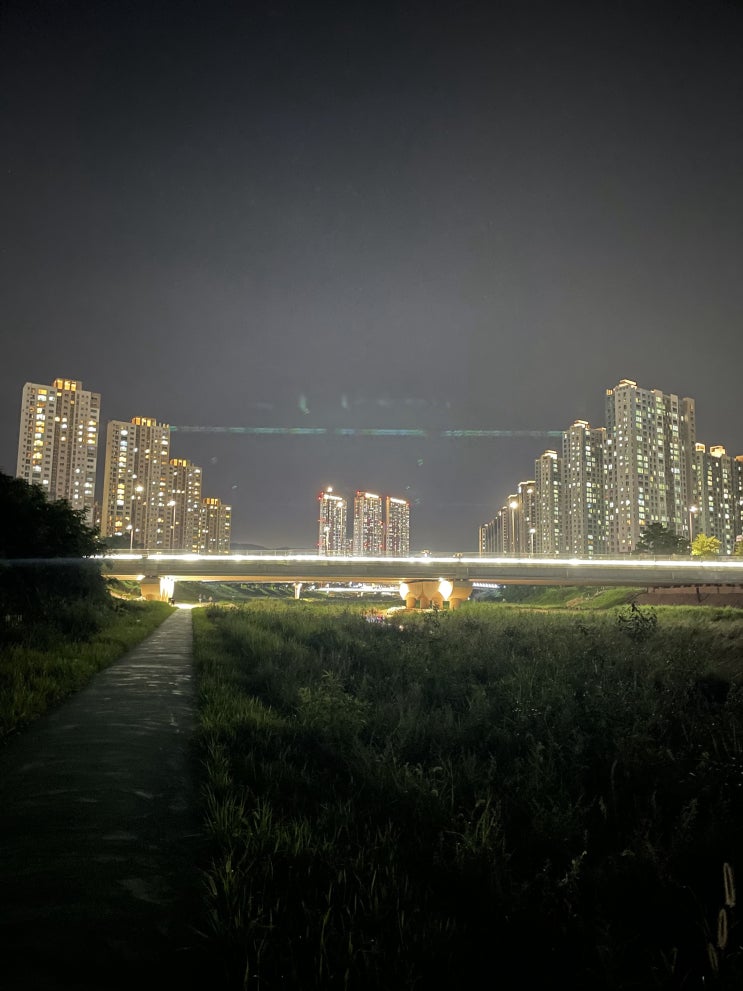  blog :: 주간일기 챌린지 / 책 읽는 저녁과 밤 산책