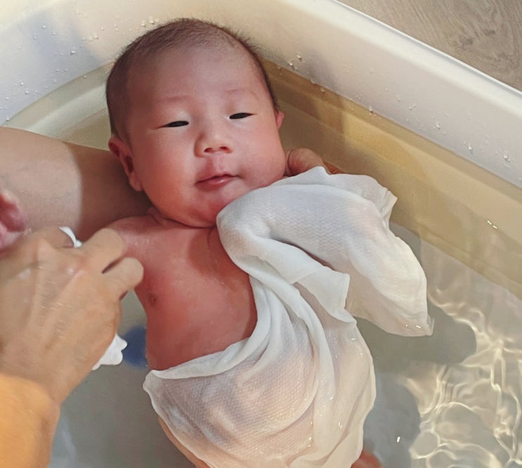  태어난지 19일! 집에온지 일주일 된 섬이와 행복한 시간들