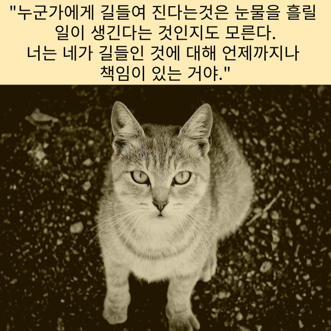  좋은 짧은 추천 외국시 모음: 샤를 보들레르 "알바트로스" ,오늘의 짧은 인생 감동 명언 모음 365,좋은 사랑 감성 짧은 글귀,웃긴 말풍선짤.밈