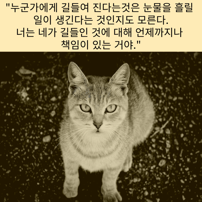 좋은 짧은 추천 외국시 모음: 샤를 보들레르 "알바트로스" ,오늘의 짧은 인생 감동 명언 모음 365,좋은 사랑 감성 짧은 글귀,웃긴 말풍선짤.밈