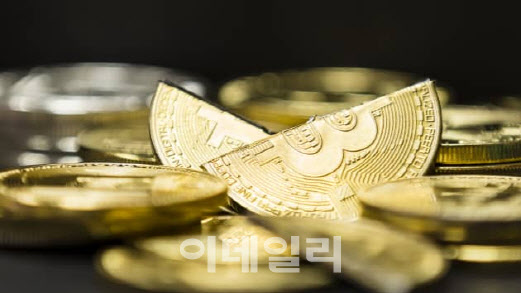 하룻새 시총 230兆 사라졌다…비트코인 다시 2만1천달러대로 하룻새 시총 230兆 사라졌다…비트코인 다시 2만1천달러대로