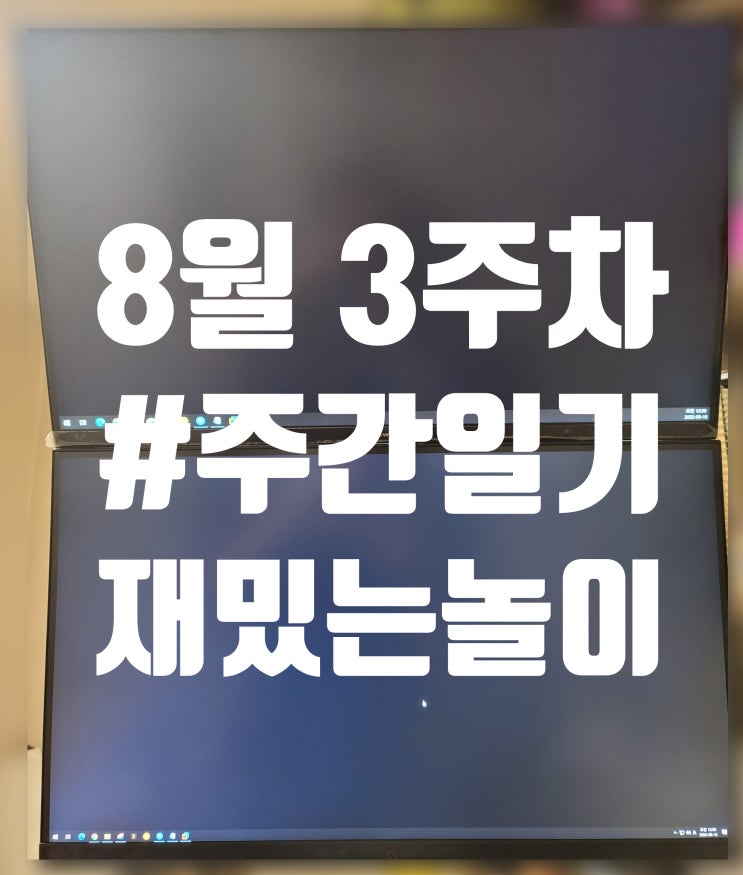  8월 3주 차 주간 일기 여름도 이제 끝나가는구나