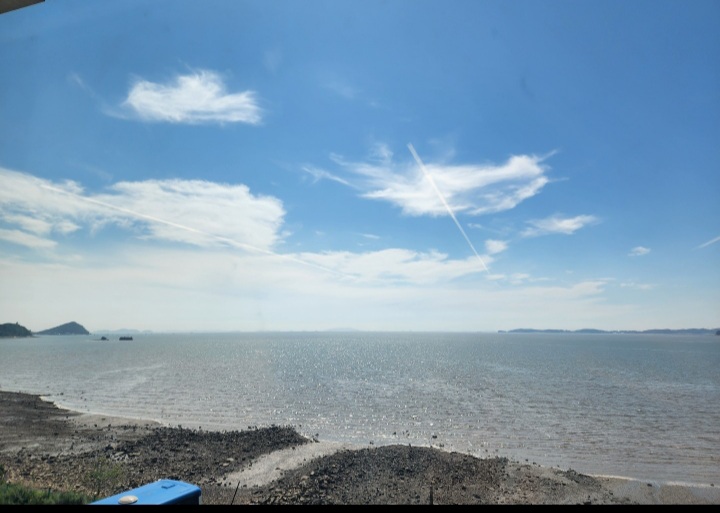 삶도 사랑도 물들어가는 것 삶도 사랑도 물들어가는 것