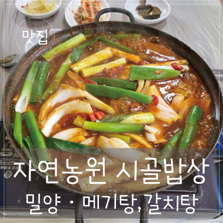 밀양 얼음꼴 '자연농원 시골밥상' 메기탕과 갈치찌개 맛집!!