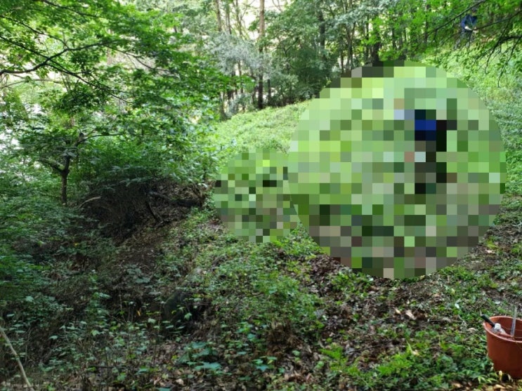  2022년 김천 봉산면 예지리 452 김천벌초 봉산면벌초 벌초대행 추석벌초 고인돌장묘개발