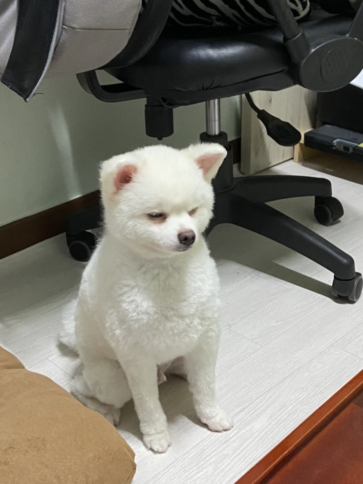  [룩또]1030회 로또번호추천_1029회 로또당첨번호조회
