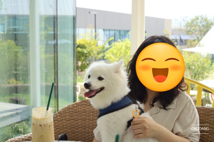  [주말 나들이]의왕 타임빌라스 애견 동반 후기 (지도/코코스퀘어/개모차대여)
