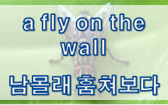  '관찰/귀뜸/농담' 관련 재미있는 영어 표현