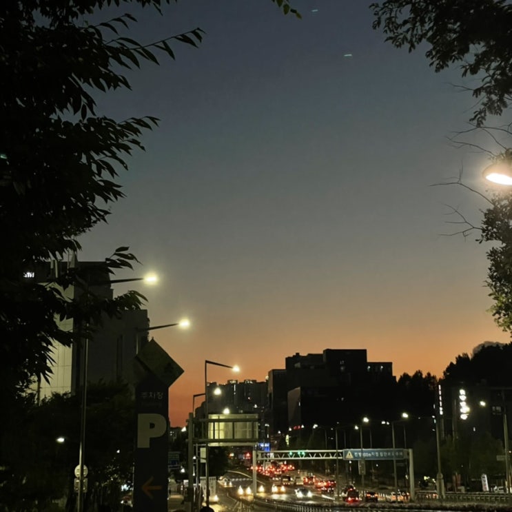  8월 벌써 세번째 스토리
